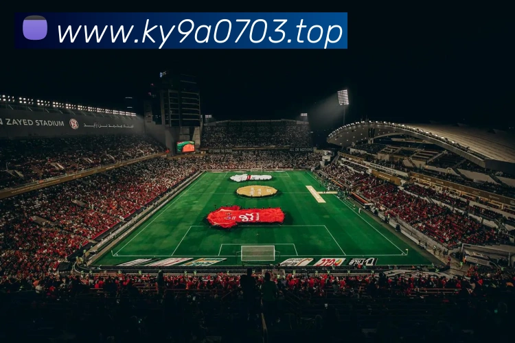 mksports网站APP 封面图